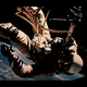 Image for article titled This awesome image may be found by aliens one day, floating in space